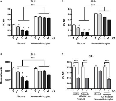 Astrocytic Insulin-Like Growth Factor-1 Protects Neurons Against Excitotoxicity